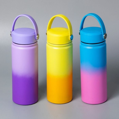 BR-45846 Water Bottle 500ml
