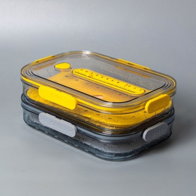 BR-46295 Crisper Container 32.7x22.5x6.2cm