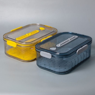 BR-46296 Crisper Container 32.7x22.5x11cm