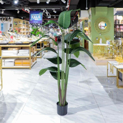 BR-52202-Canna Artificial Plant 1.5m