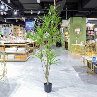 BR-52207-Chlorophytum Artificial Plant 1.8m