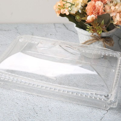 BR-10293 acrylic container