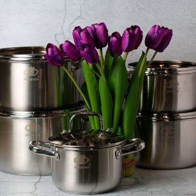 BR-8295 5pcs Hot Pot Stainless Steel